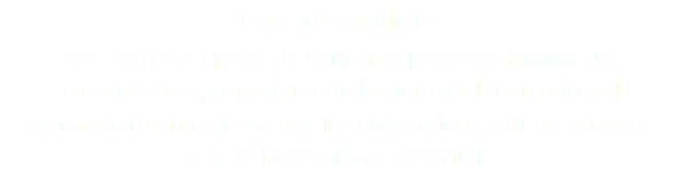 Fase de análisis Analizamos su perfil de consumo para determinar sus necesidades y, considerando la oferta del mercado y el comportamiento de los precios energéticos, estimaremos el ahorro potencial a conseguir.