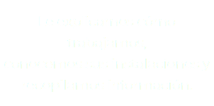 Le explicamos cómo trabajamos, conocemos sus instalaciones yrecopilamos información.